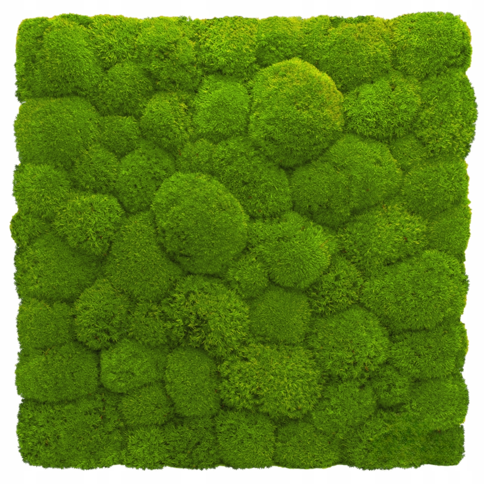 Panel z Polštářového mechu Zelená Stěna 3D mechová stěna 50x50 cm