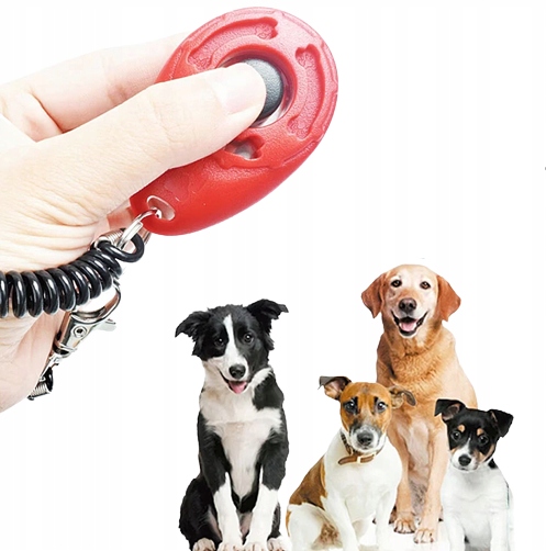 

Kliker Dla Psa Clicker Klikacz Trening Szkolenie