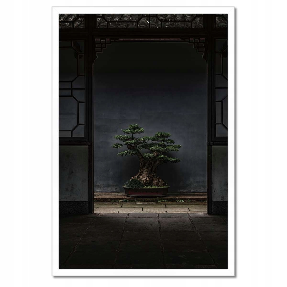 Plakáty v rámu 40x60 Bonsai Stromek Kultura