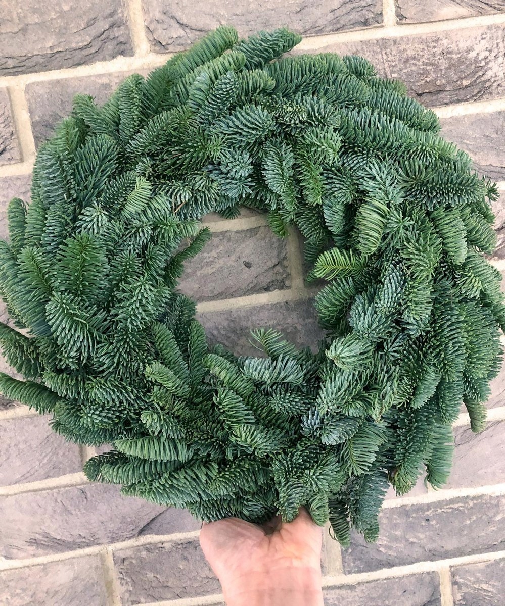 WIANEK z ŻYWEJ JODŁY NOBILIS ŚWIĄTECZNY żywy 35cm Stan opakowania brak opakowania