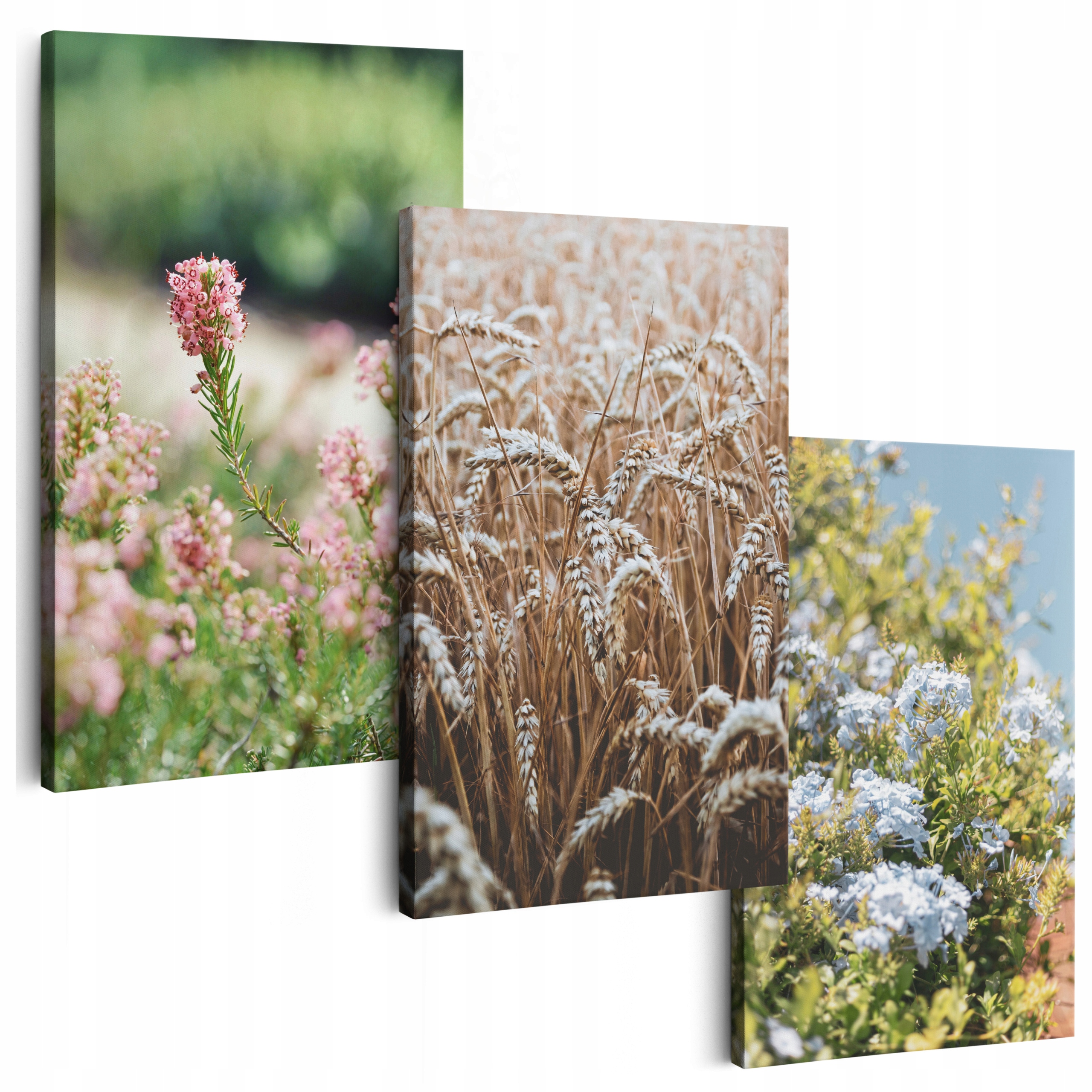 Obraz Na Plátně 150 cm **mnoho vzorů** Obrazy Do Obývacího Pokoje Triptych Květiny