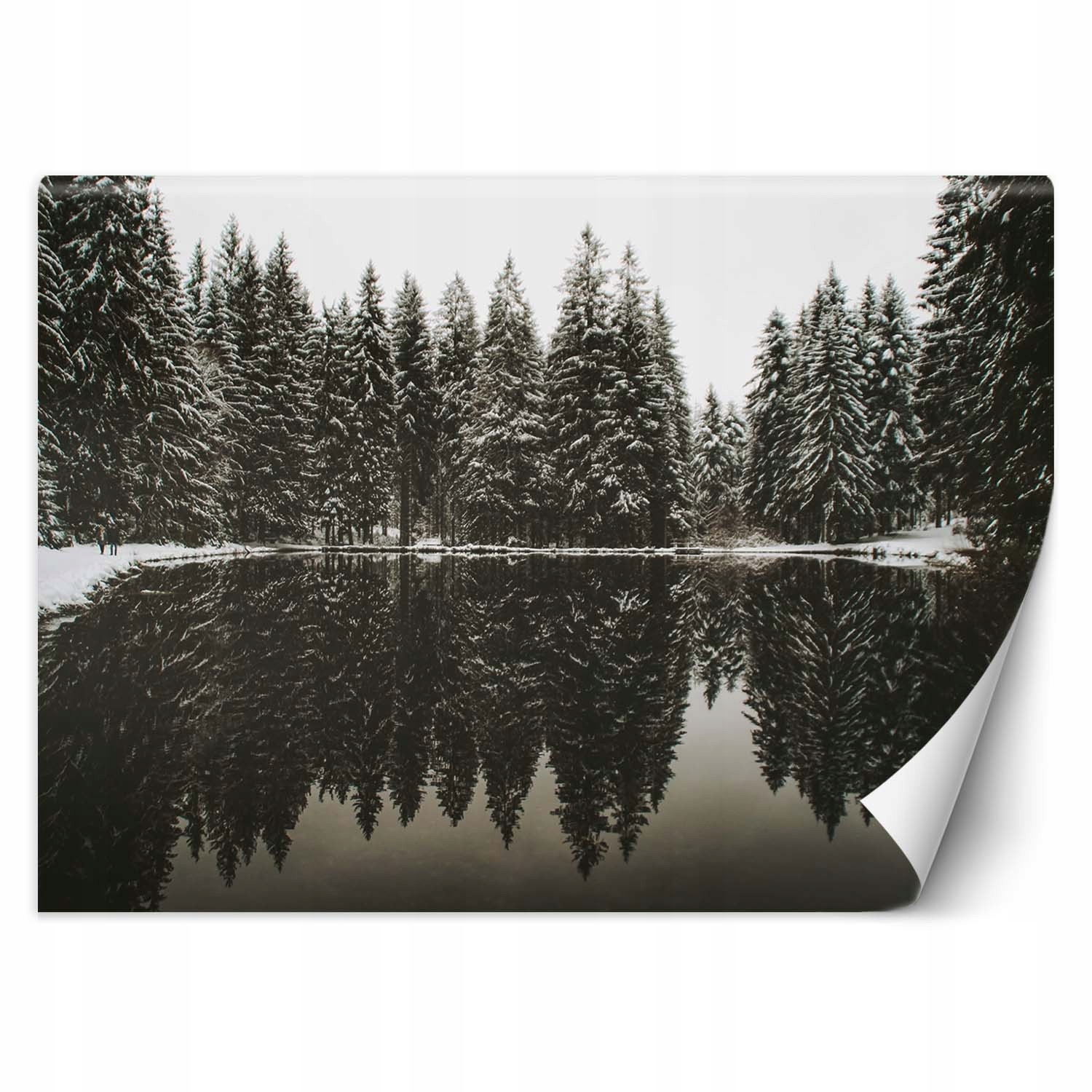 Fototapeta 3D Jezero v lese v zimě sníh 400x280