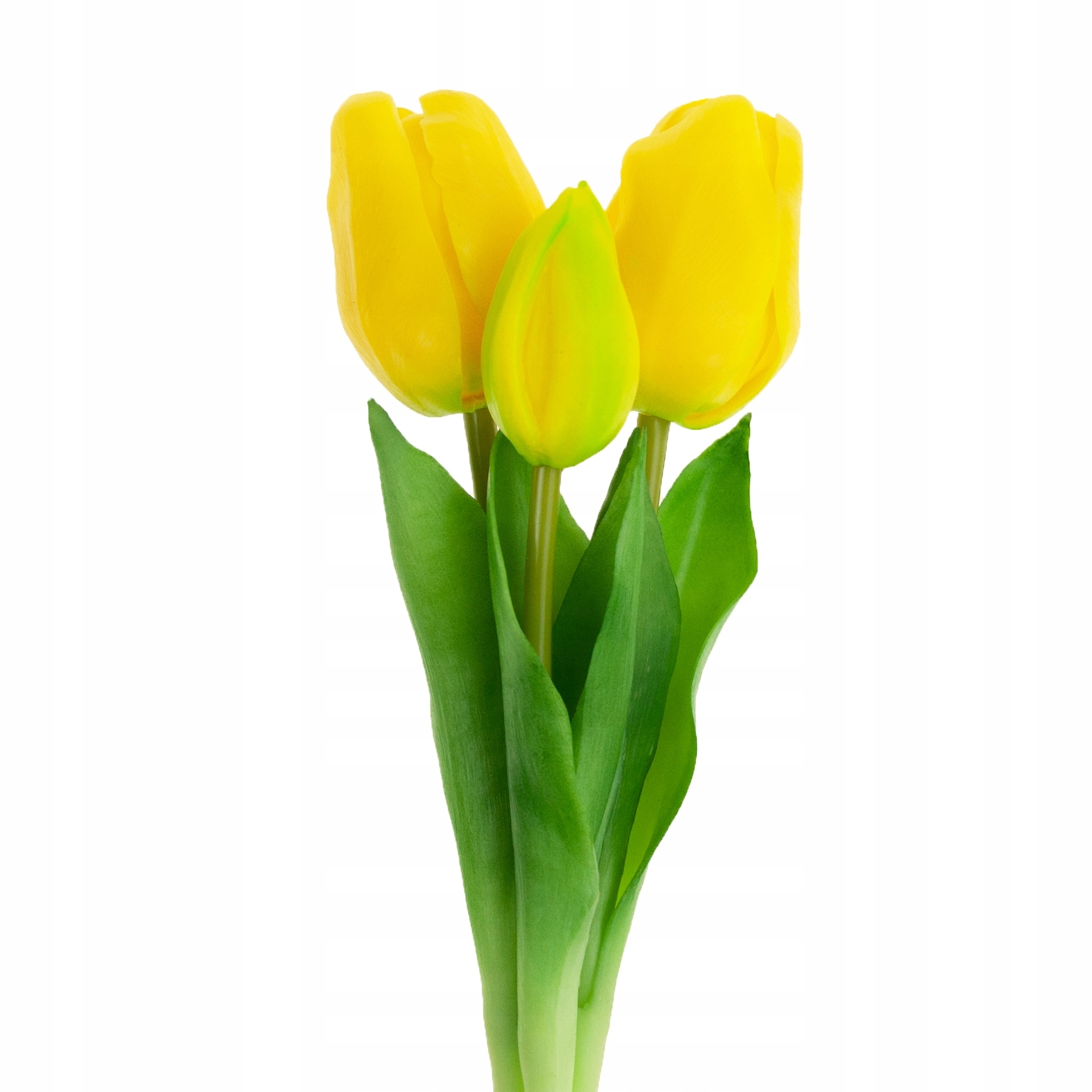 

Bukiet Tulipanów Gumowane Gumowe Tulipany Jak Żywe
