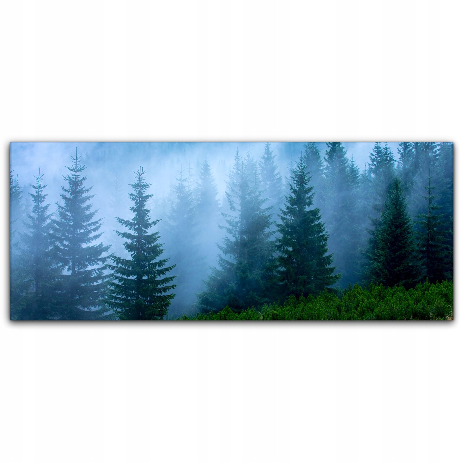 

Fotoobraz na płótnie 125x50 Mgła Góra Las Natura