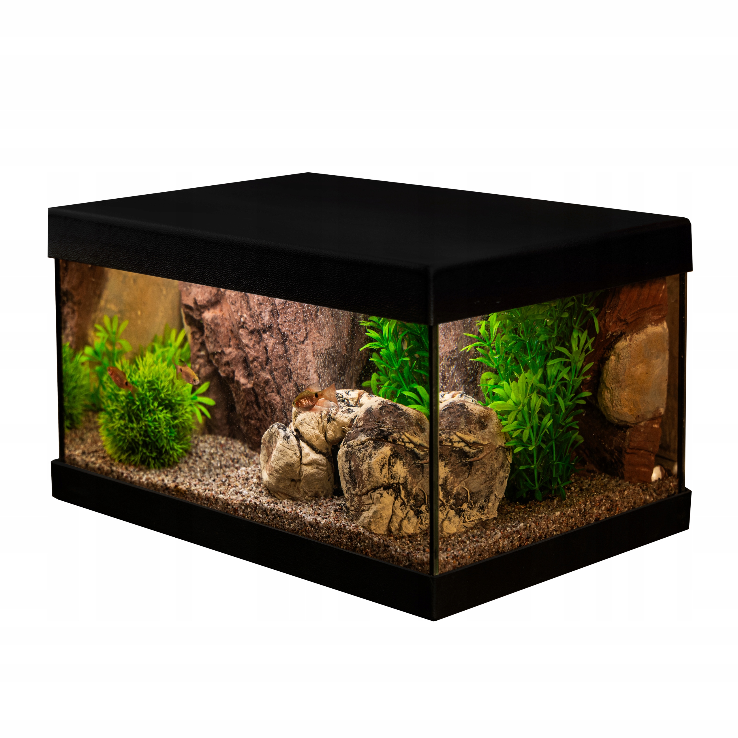 Levně Akvarijní sada 40x25x20 cm Kompletní dřevěné akvárium s dekorem