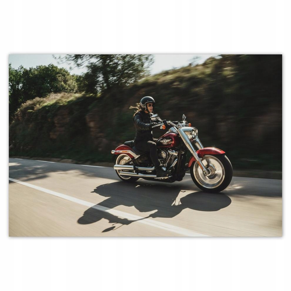 

Plakaty 60x40 Harley Davidson Motocykl