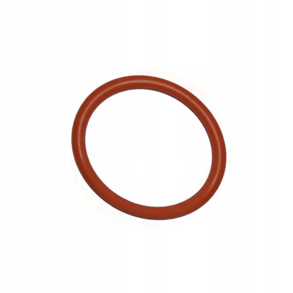 Saeco uszczelka zaparzacz 32x4