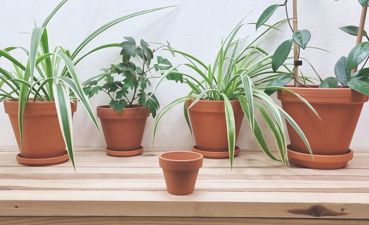 DONICZKA GLINIANA TERAKOTA ceramiczna z gliny 7cm EAN (GTIN) 4013921001021