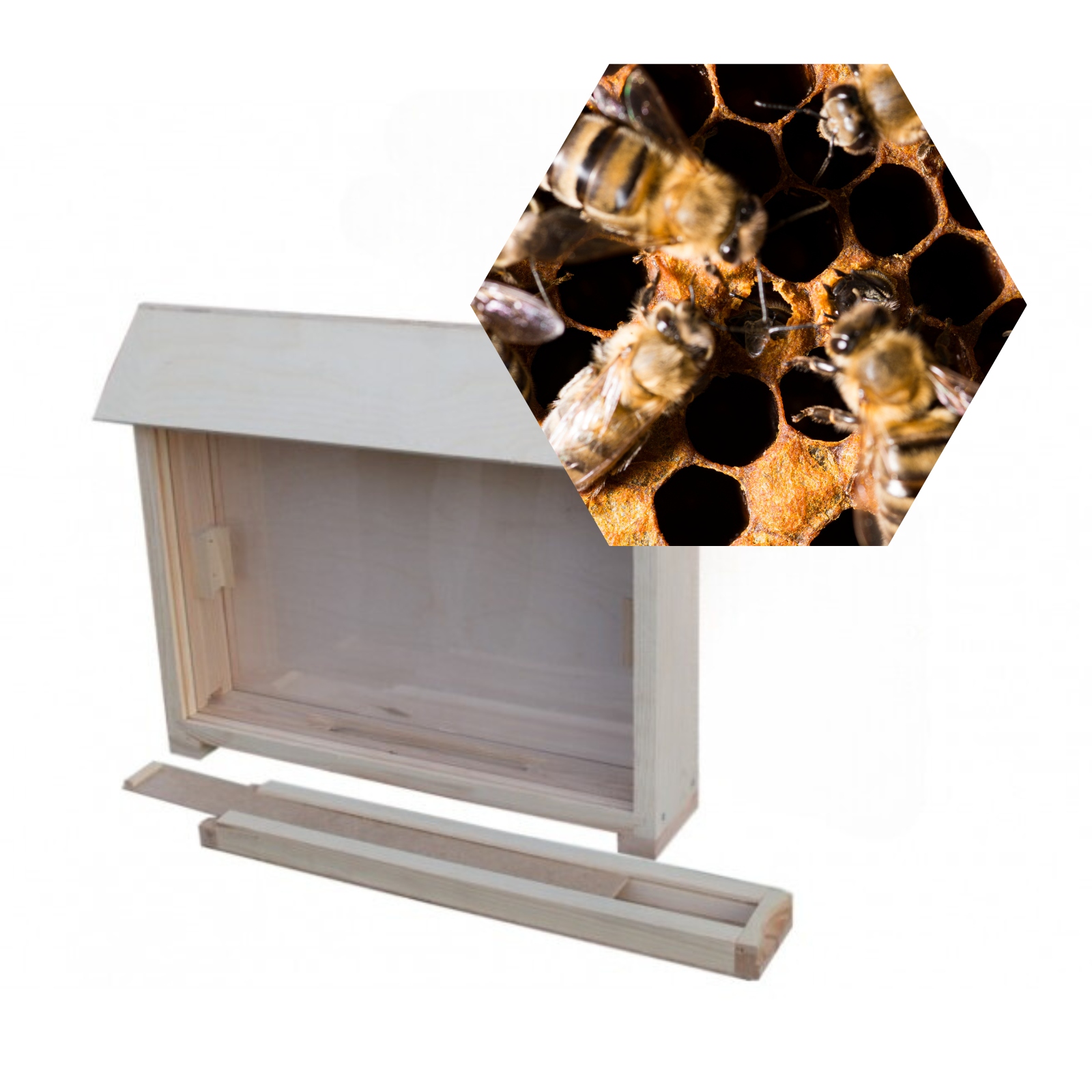 Ulik pokazowy Wielkopolski 1 ramkowy