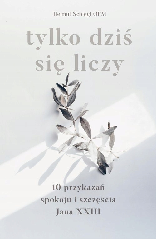 Tylko dziś się liczy Helmut Schlegel