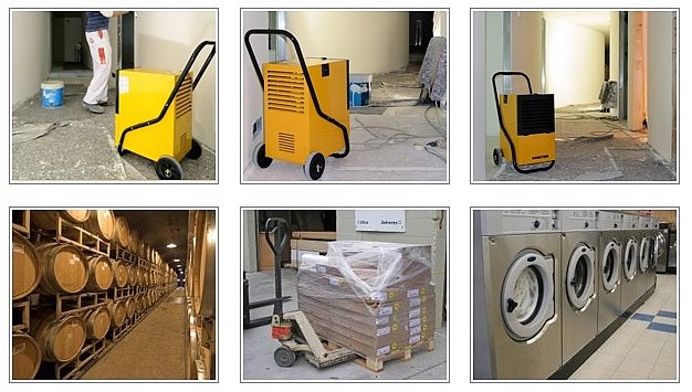 OSUSZACZ powietrza Master DH 732 30 l 24h COMPACT Mark Master