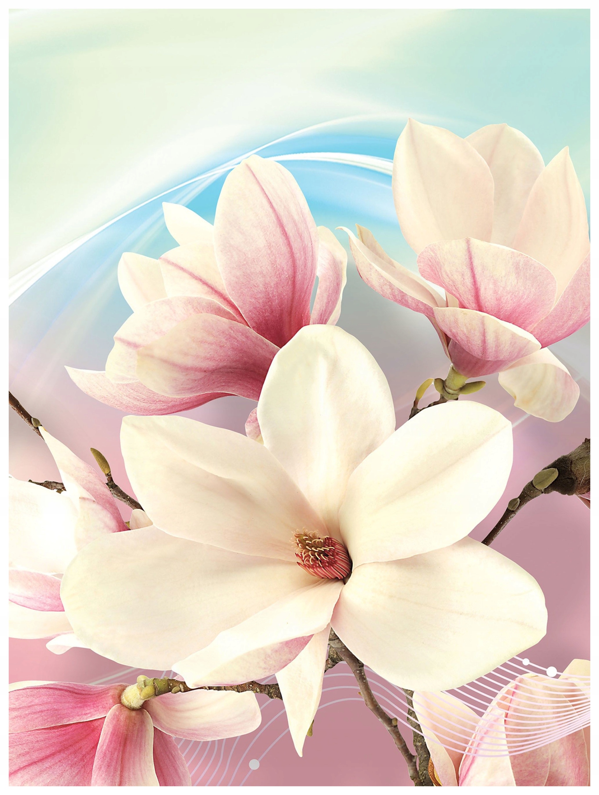 Fototapeta Magnolie pastelová elegance jara vinylová 184x254 lepidlo