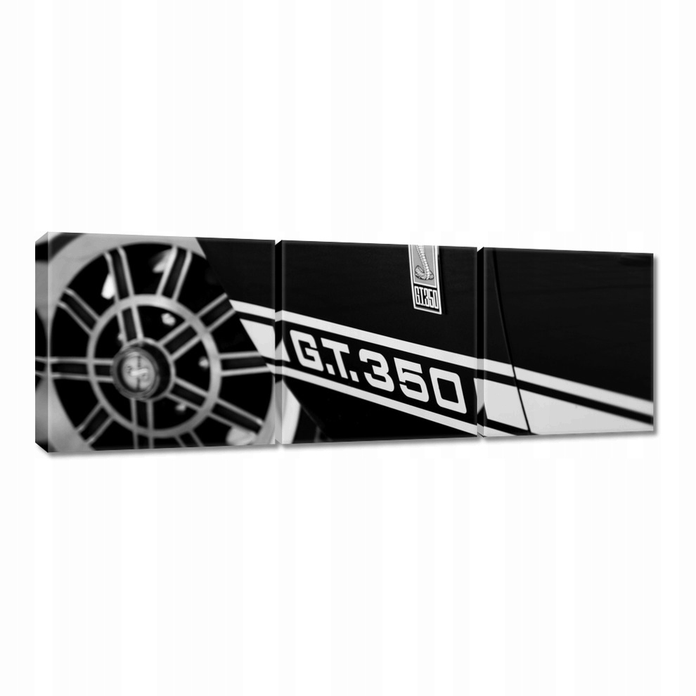 

Obrazy 60x20 Ford G.t. 350 Shelby