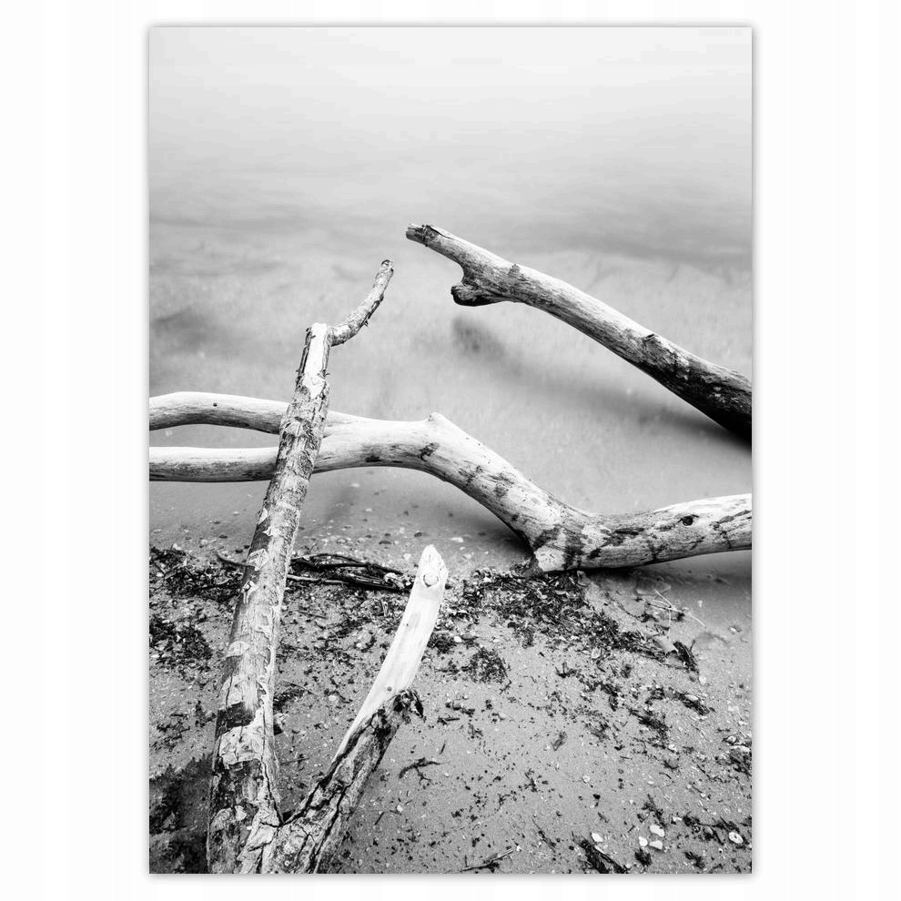 

Naklejki 50x70 Korzenie Plaża Morze