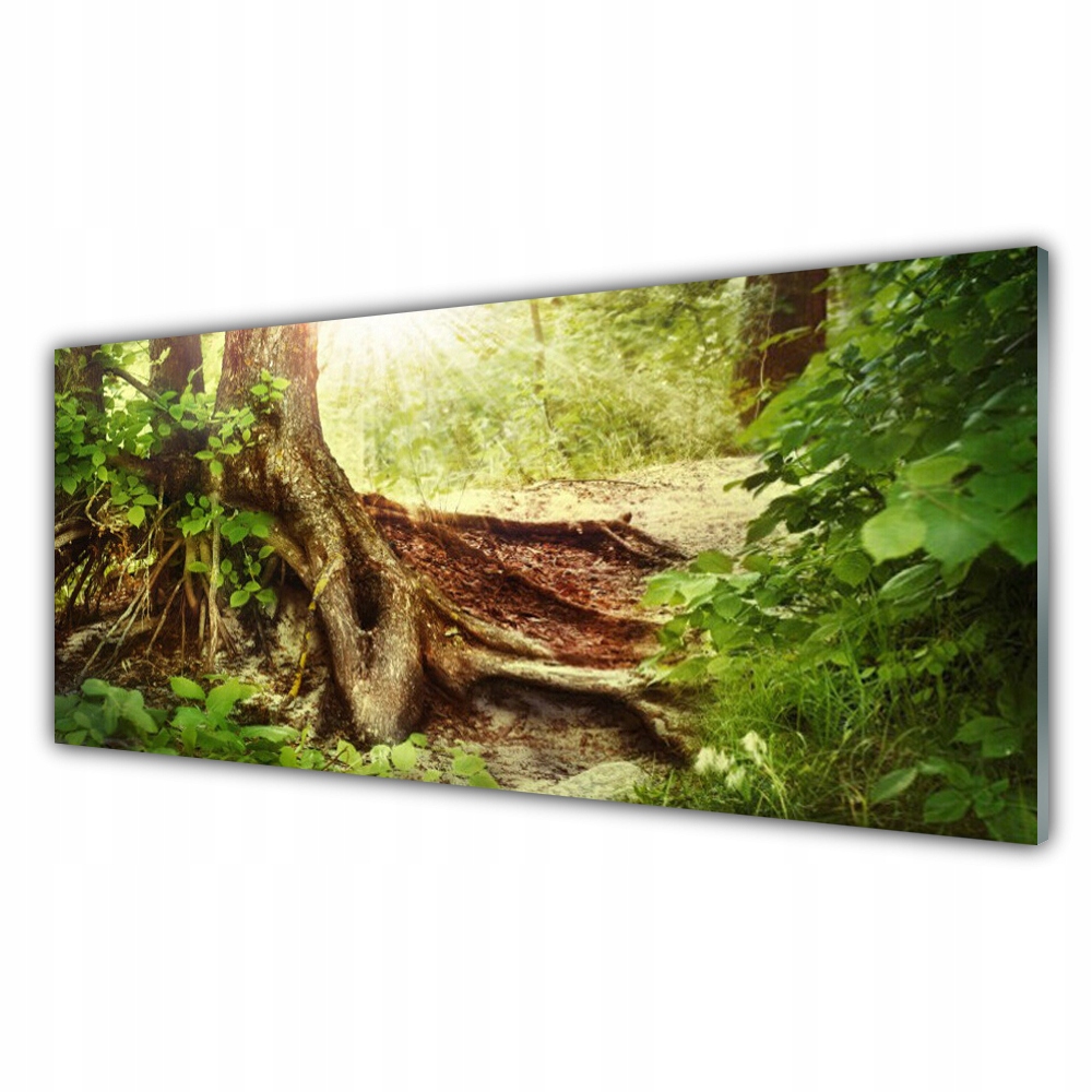 Akrylový závěsný obraz 125x50 Strom Kmen Příroda Les