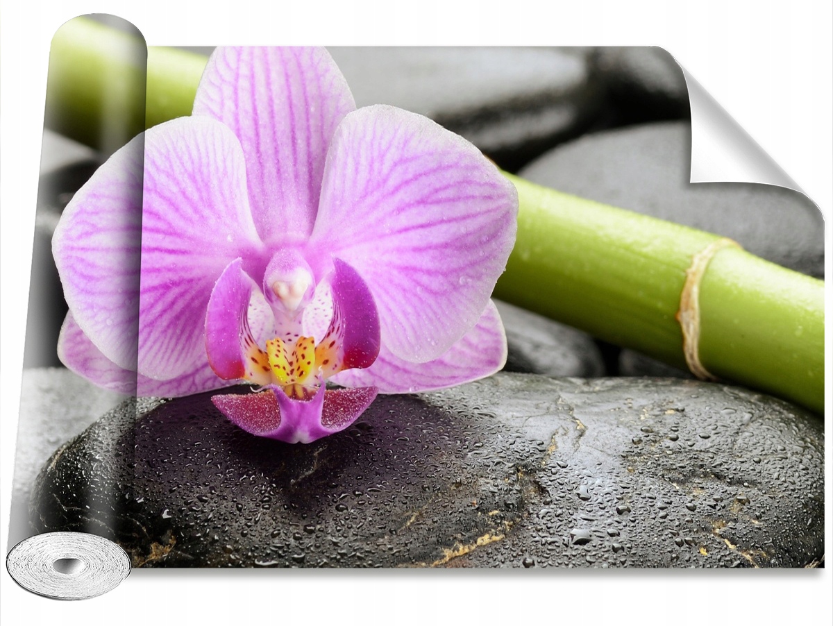

Tapeta Samoprzylepna Orchidea Kamienie 152x104