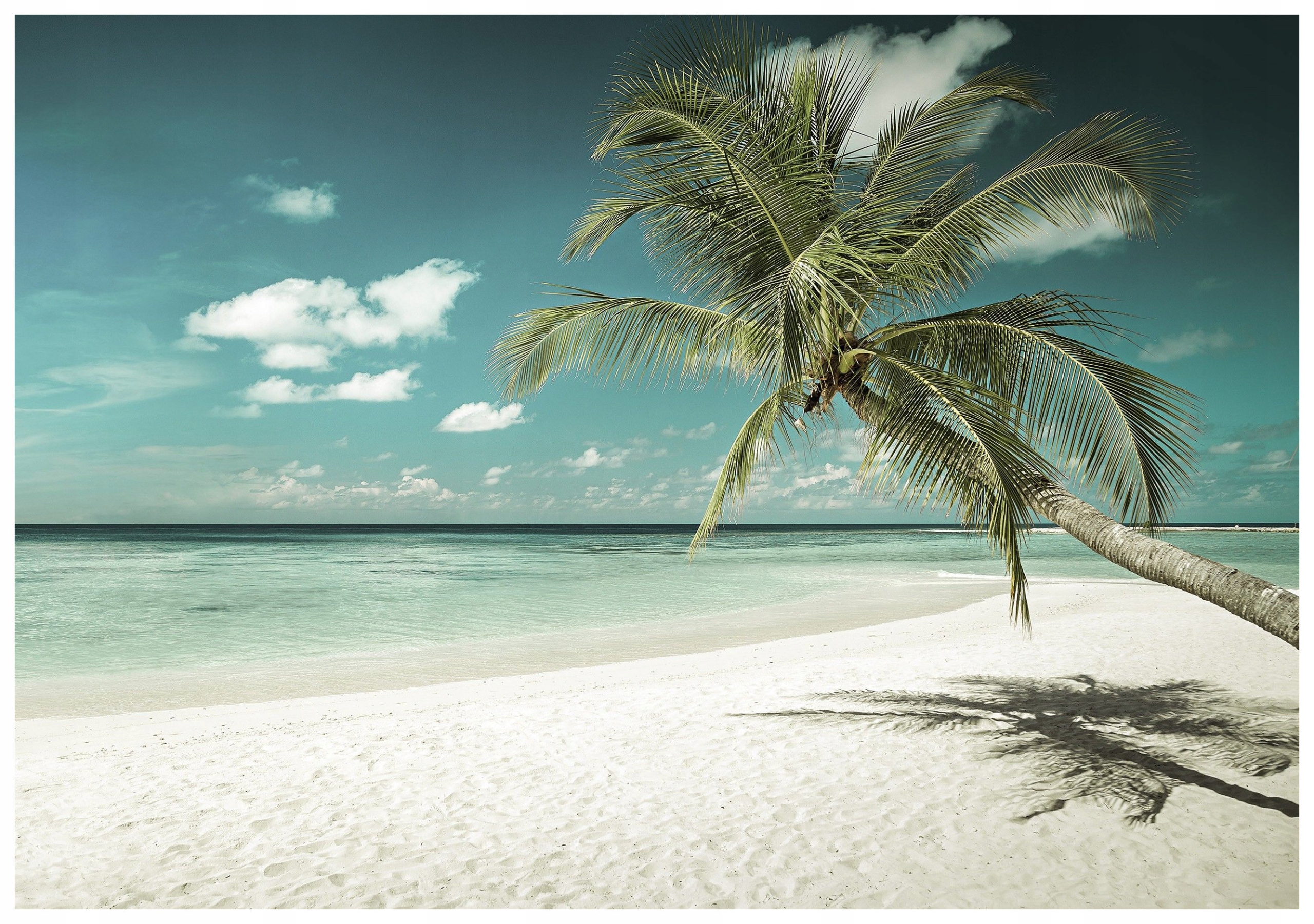 Vliesová fototapeta Tropická pláž Palmy Oceán Relaxace 250x175 lepidlo