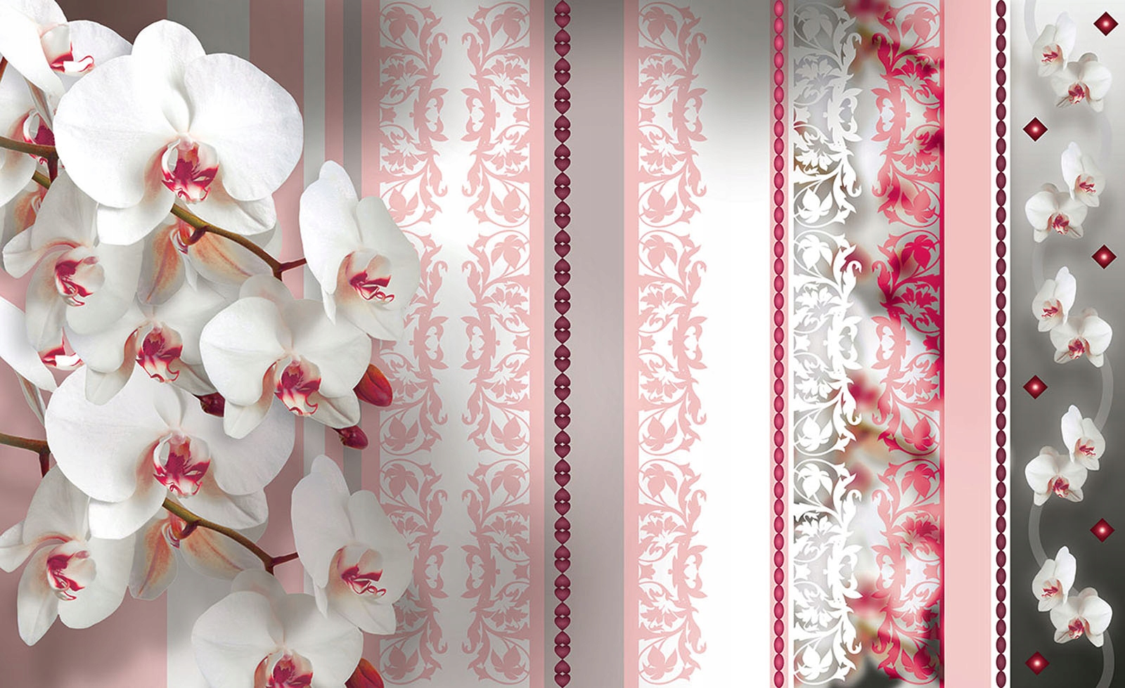 Fototapeta Orchideje Bílá Růže Elegance Klid Rozměry 200x140 lepidlo