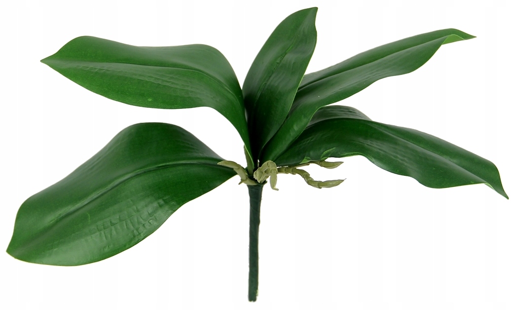 

Sztuczne Gumowe liście storczyka Jak Żywe