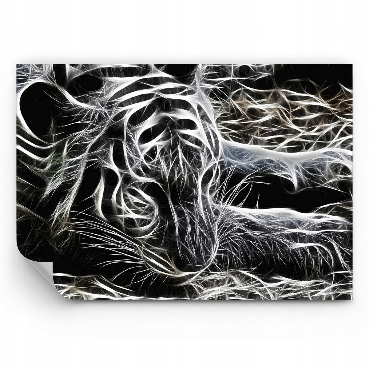 Fototapeta Abstrakcja Tapeta Na Ścianę Do Sypialni Salonu 250x175 Ps