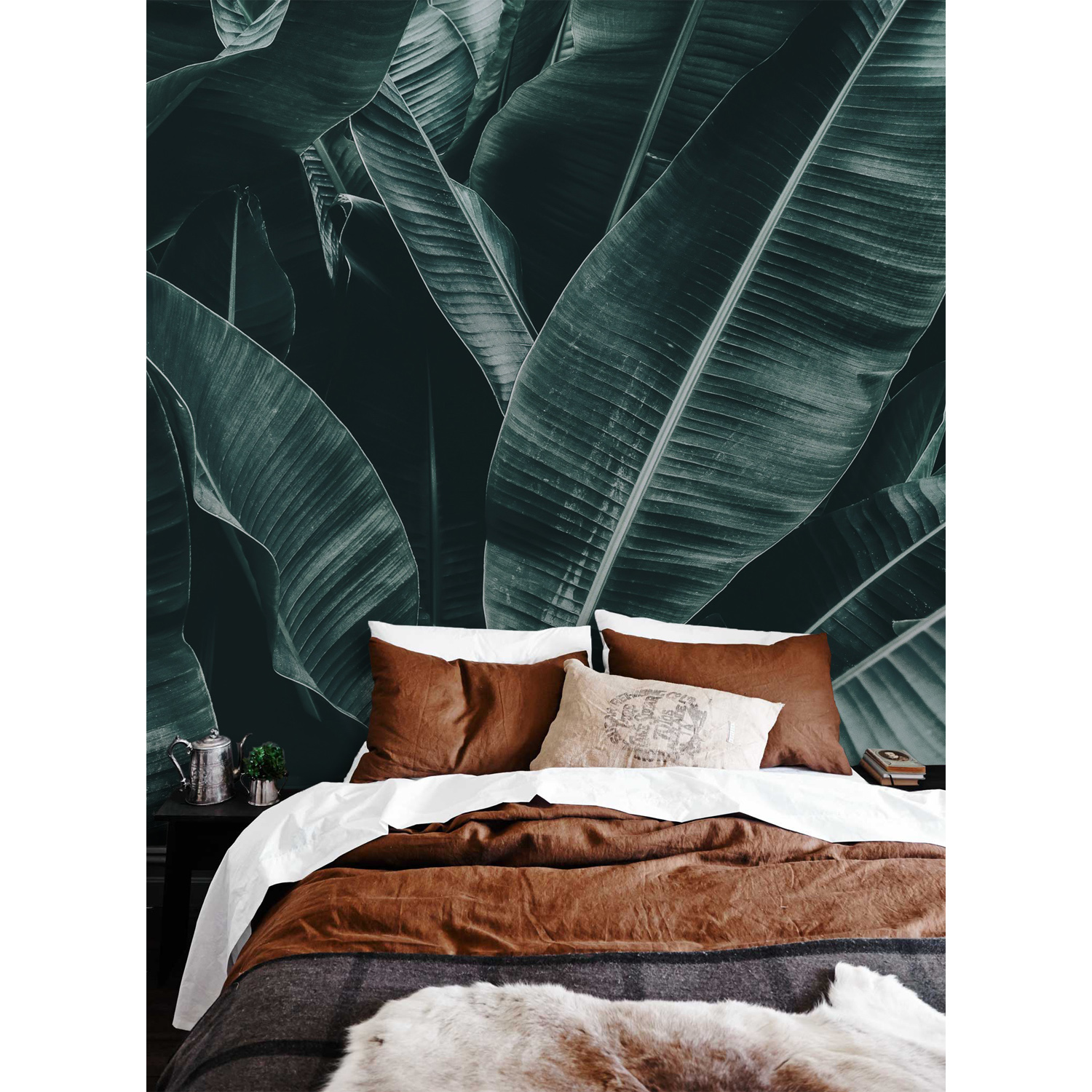 

Fototapeta ścienna Duże egzotyczne liście 208x146