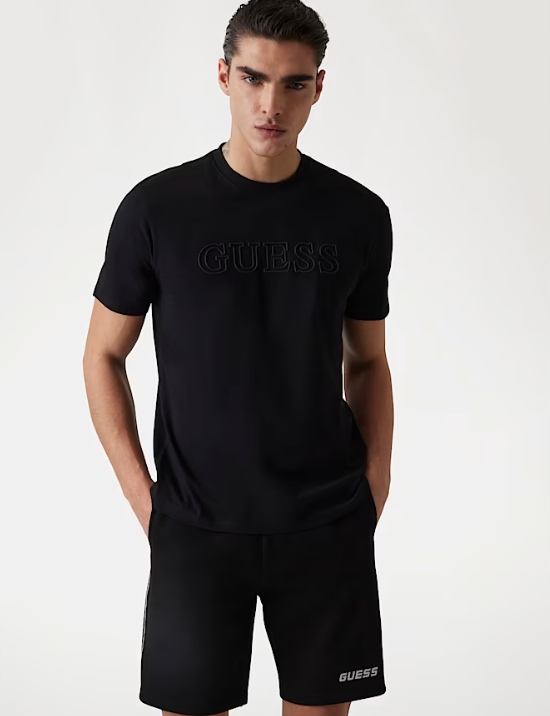 Pánské triko Guess ss alphy t-shirt