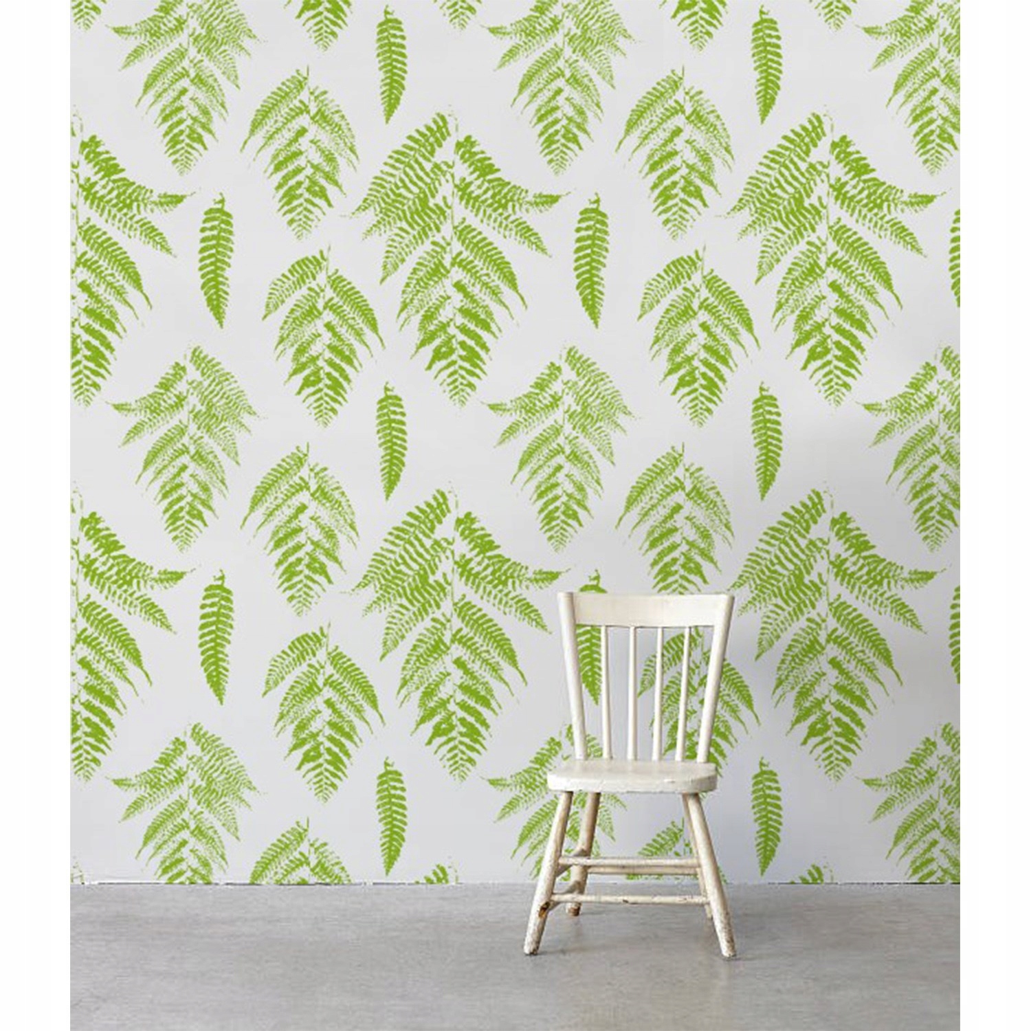 

Foto tapeta samoprzylepna Liście paproci 152x104cm