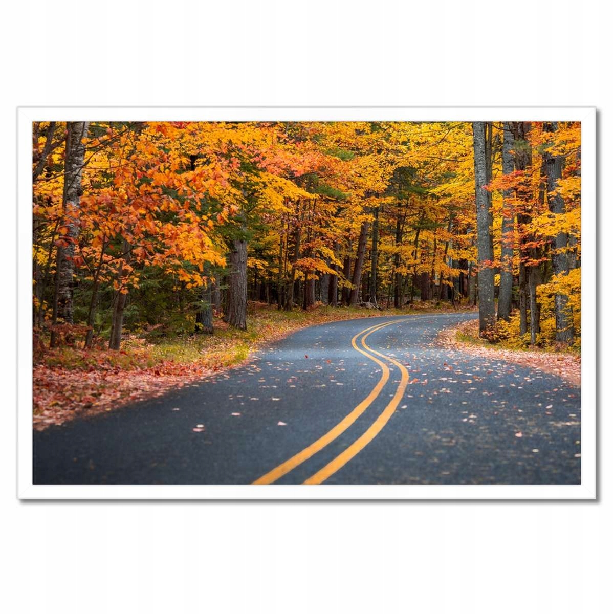 Plakáty v rámu 60x40 Krajina Pohled