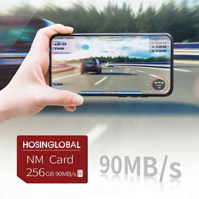 HOSINGLOBAL NM karta pamięci For huawei 256GB Nano Typ karty SD