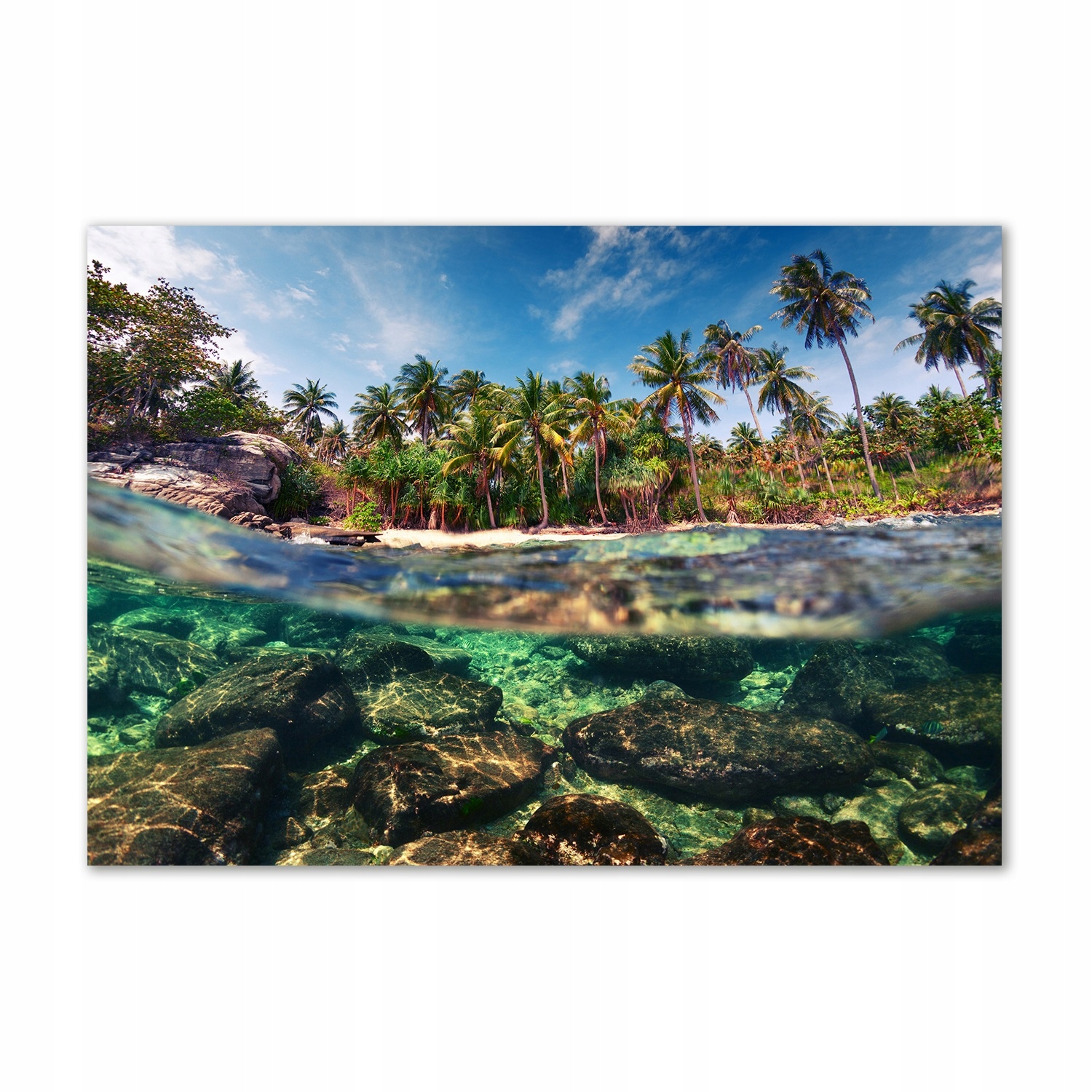 

Foto obraz szklany Tropikalna plaża 100x70