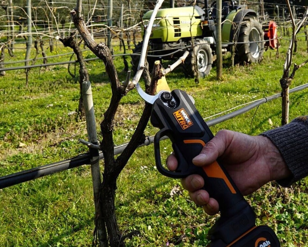 WORX SEKATOR AKUMULATOROWY WG330E.9 Moc 20 W