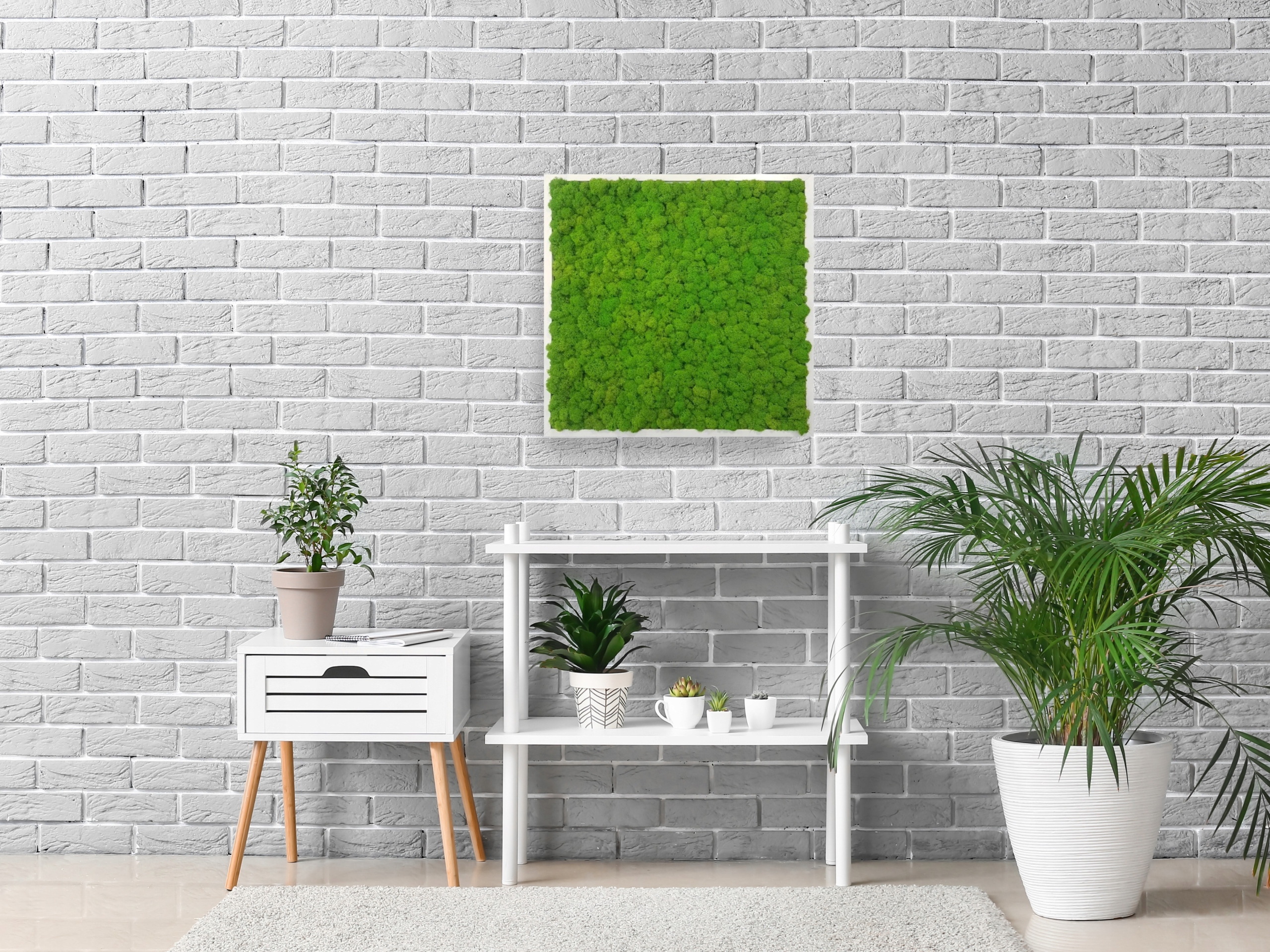 OBRAZ Z MCHU w drewnianej ramie 50x50 cm mech chrobotek DEKORACJA z mchu Wysokość produktu 50 cm