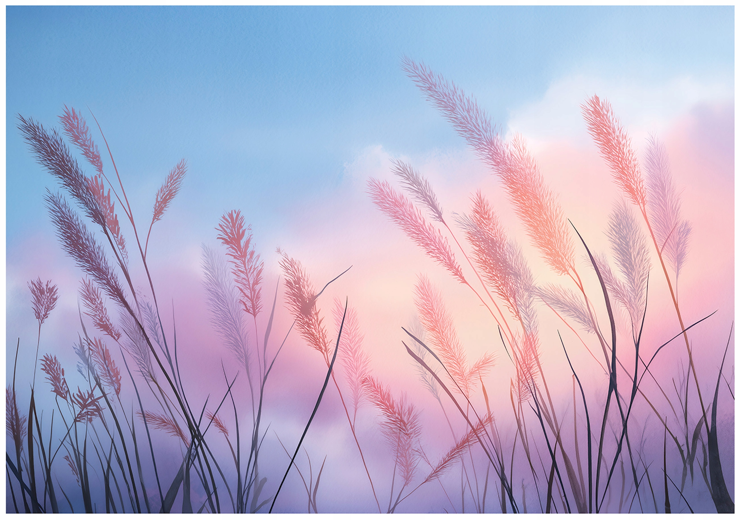 Fototapeta Tráva Pampasová Příroda Ložnice Obývací Pokoj Tapeta Flizelina 300x210