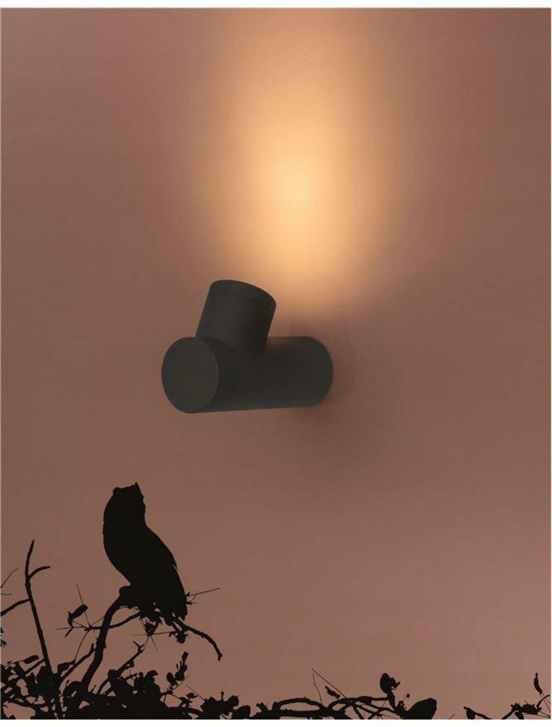 Nova Luce vonkajšie nástenné svietidlo Ramo tmavo šedý hliník sklenený difúzo