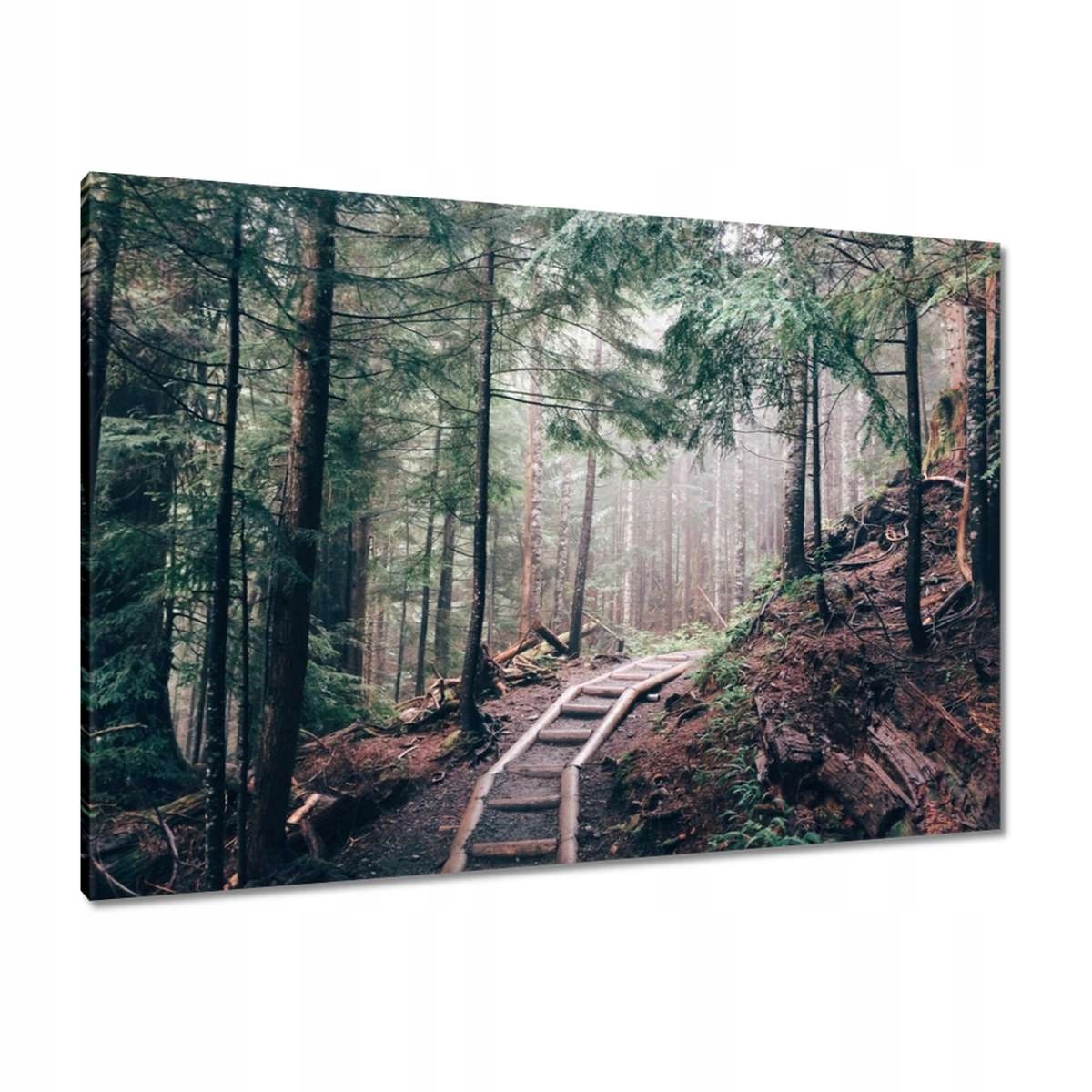 Obrazy 100x70 Lesní cesta