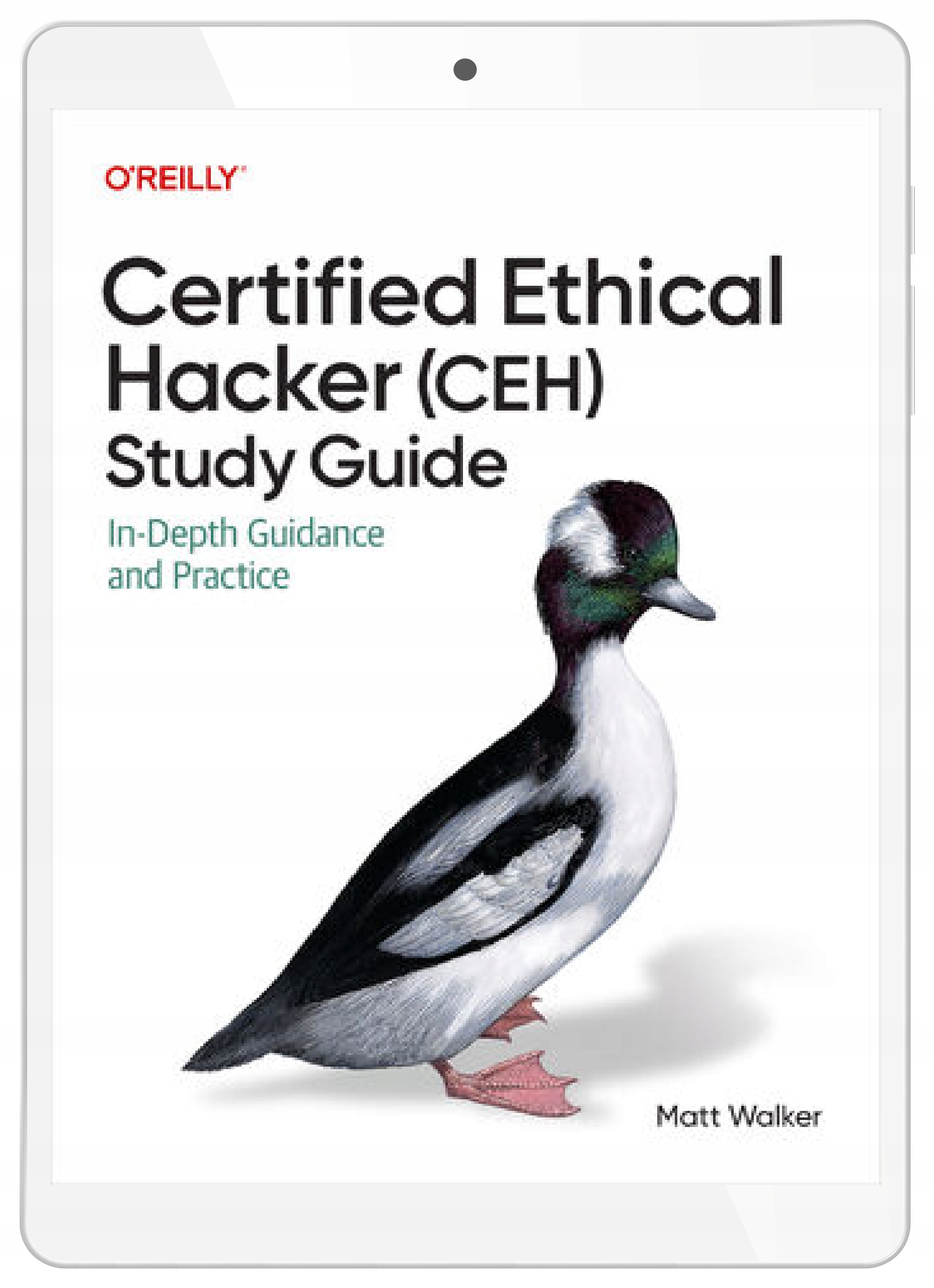 Certified Ethical Hacker (CEH) Study Guide. In-Depth Guidance and Practice