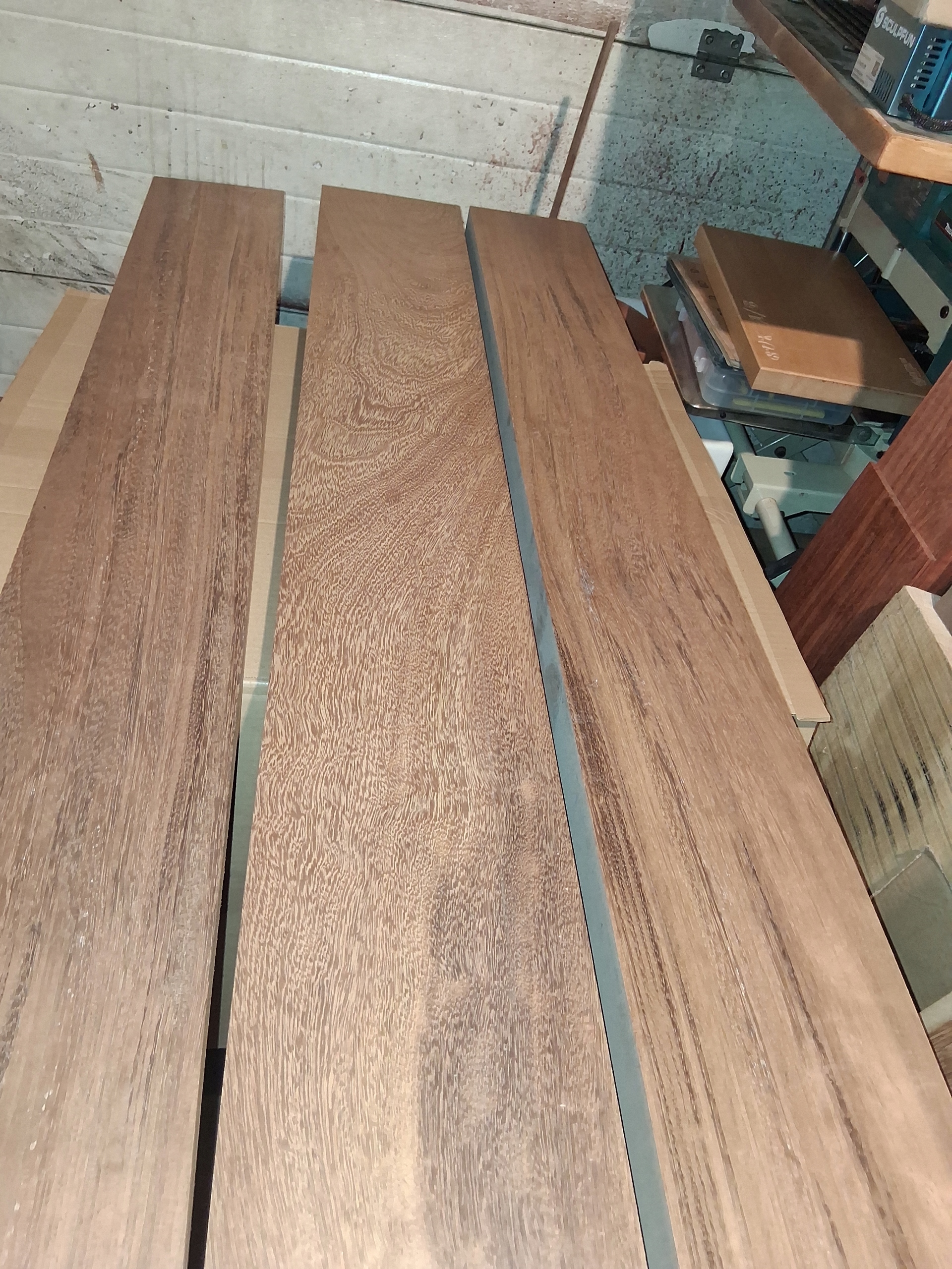 TARCICA MAHOŃ IROKO ob. 50