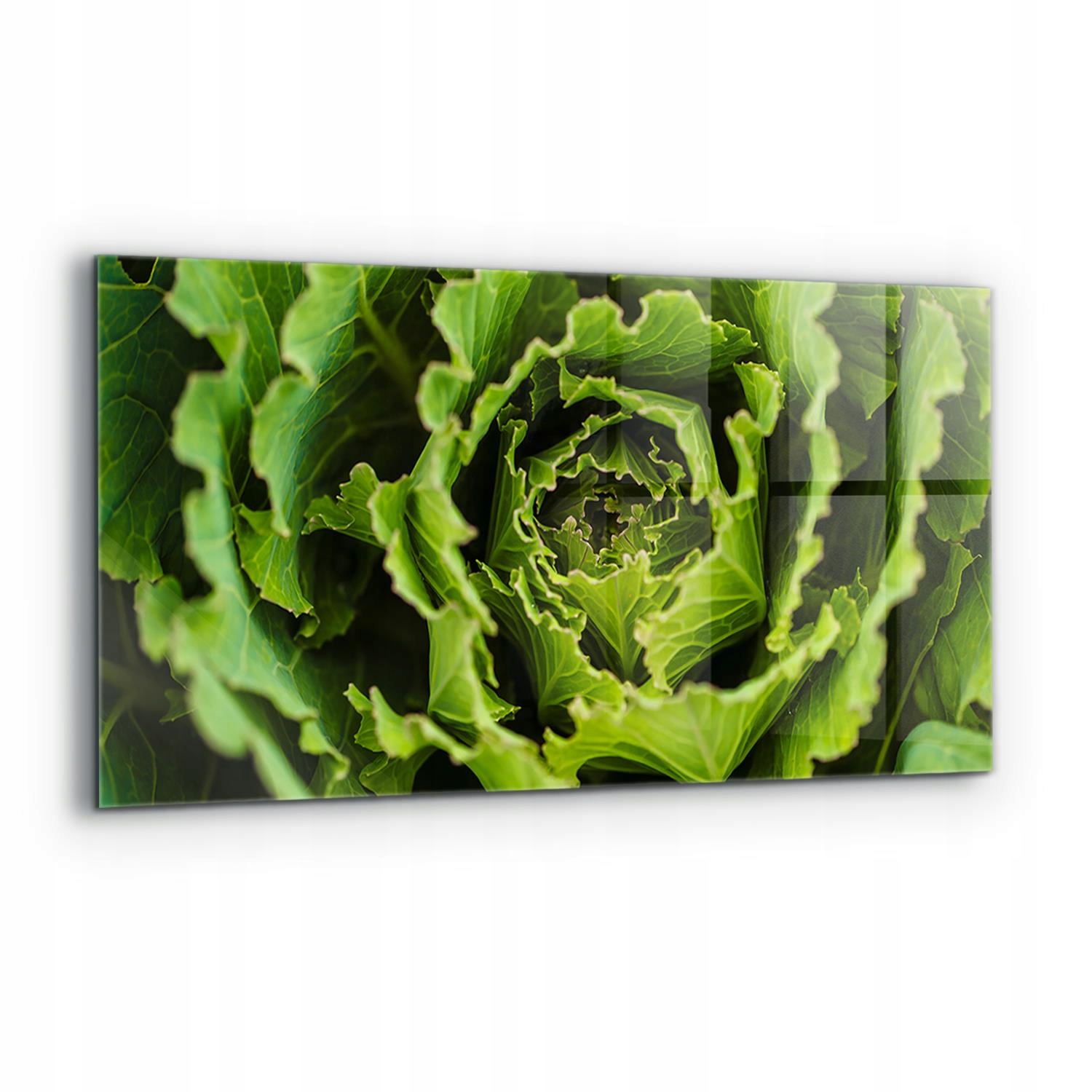 Panel Kuchyňa Izba Listy Kapusta Kvet 120x60 cm