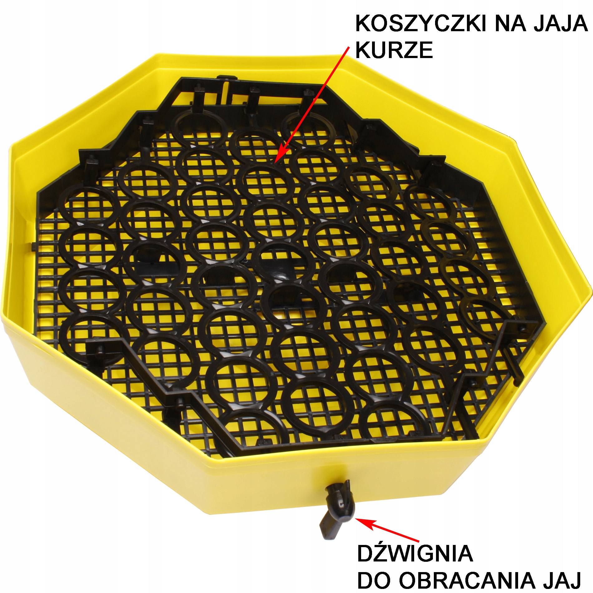 INKUBATOR WYLĘGARKA KLUJNIK 60 JAJ Cleo 5D TACA DO OBRACANIA JAJ Rodzaj inkubator