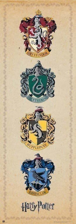 

Harry Potter Herby Domów plakat 53x158 cm