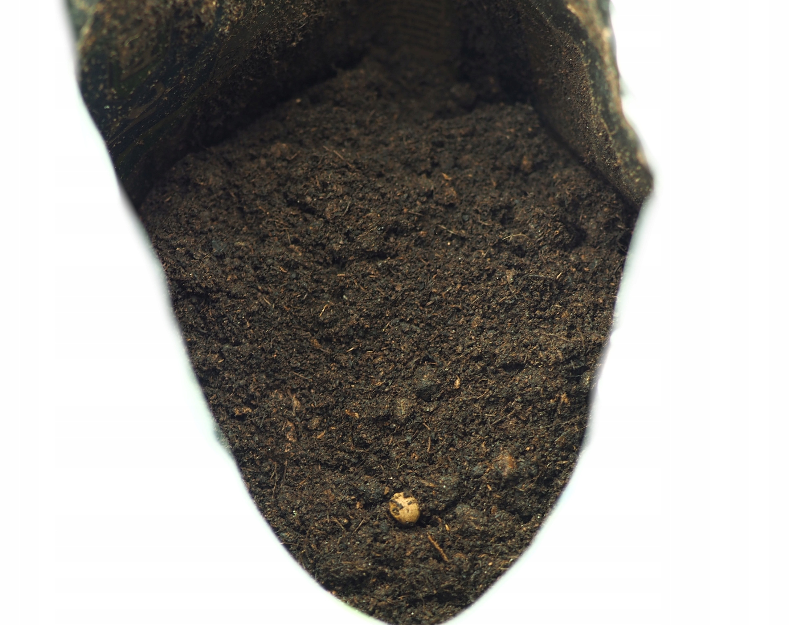 Ziemia do PAPROCI, Nephrolepis BIOVITA 5L Kod producenta 12234