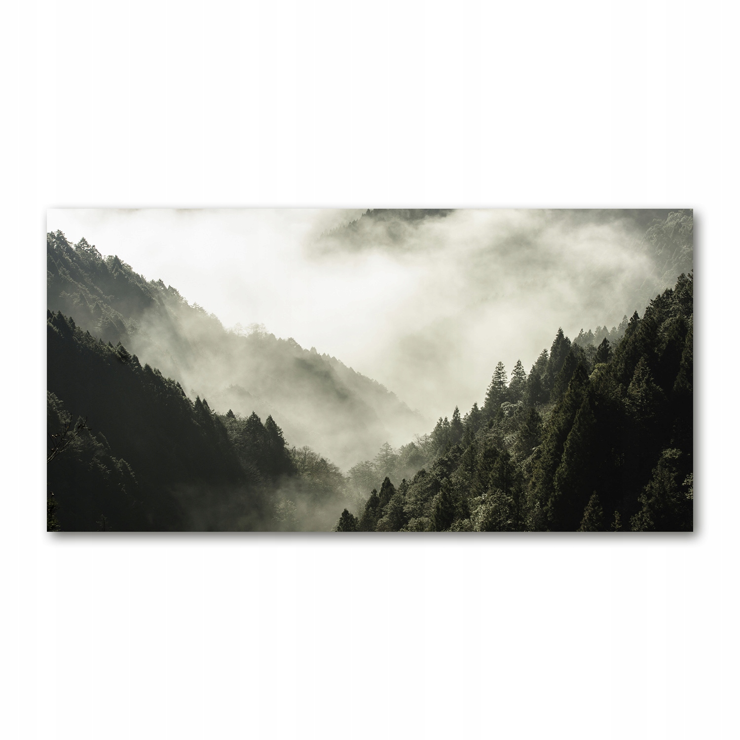 

Foto obraz akryl zdjęcie Mgła nad lasem 120X60 cm