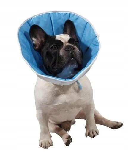 Levně Grande Finale Mimoběžný pooperační obojek pro psa, stínidlo z materiálu 5 XXL