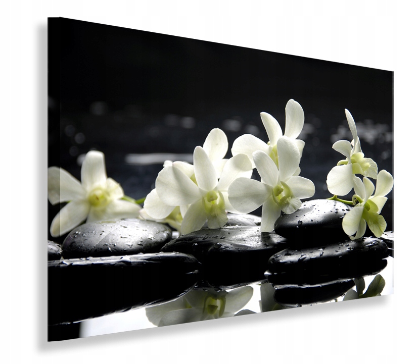 Obraz Białe Storczyki Kwiaty Obrazy Canvas 100x70