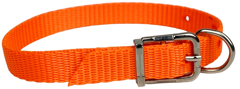 

Obroża Dla Psa Neon 20-28 CM 13 MM