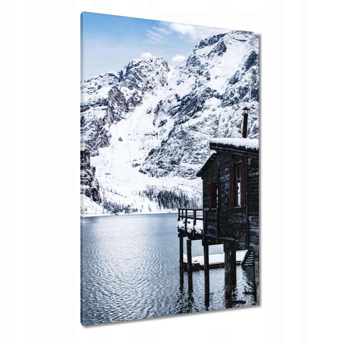 Obrazy 80x120 Zimní pohled s horami