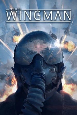 Project Wingman Pc Klucz Steam