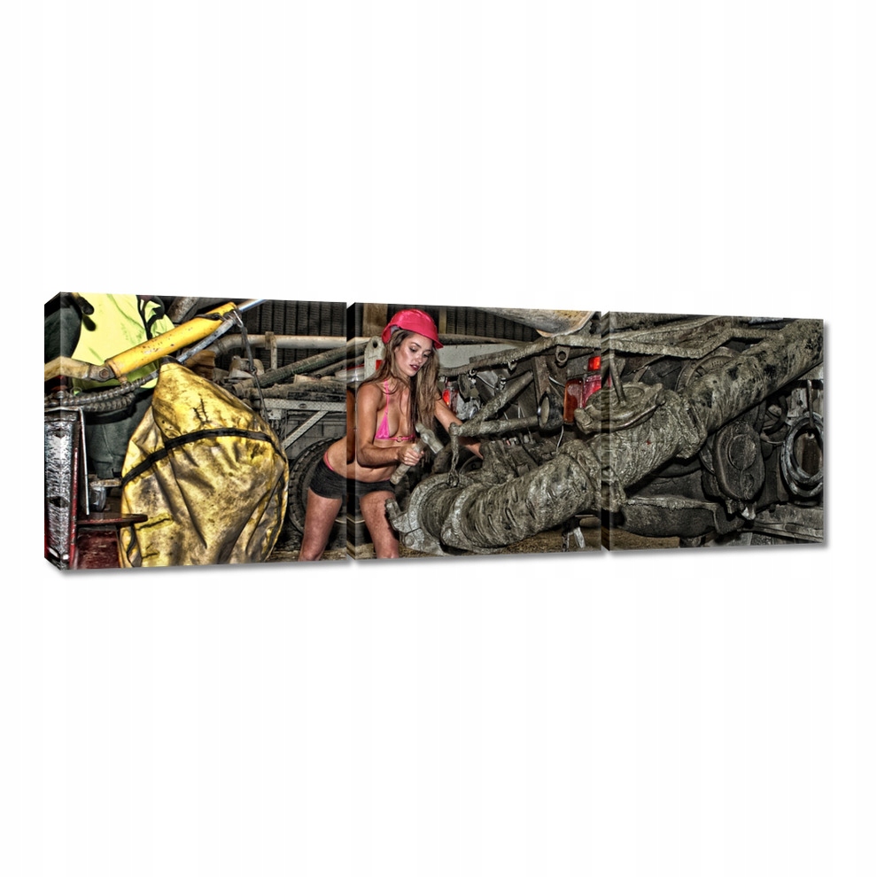 

Obrazy 60x20 Ładne kobiety Laski Babki