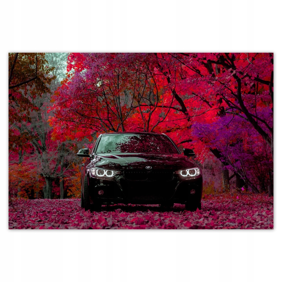 

Plakaty 93x62 Czarne Bmw Jesień