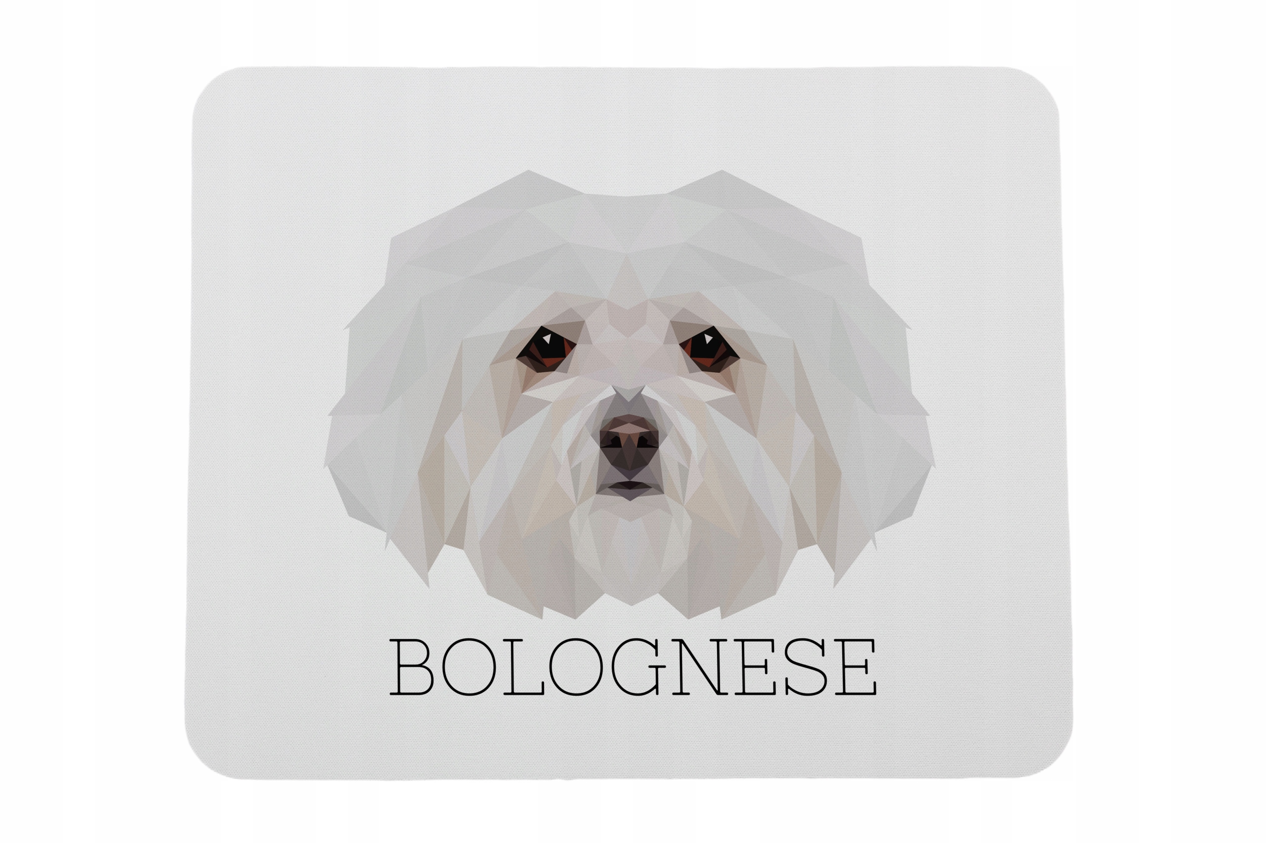 Bolończyk, Bolognese -geometryczna podkładka ze zdjęciem i napisem pod mysz